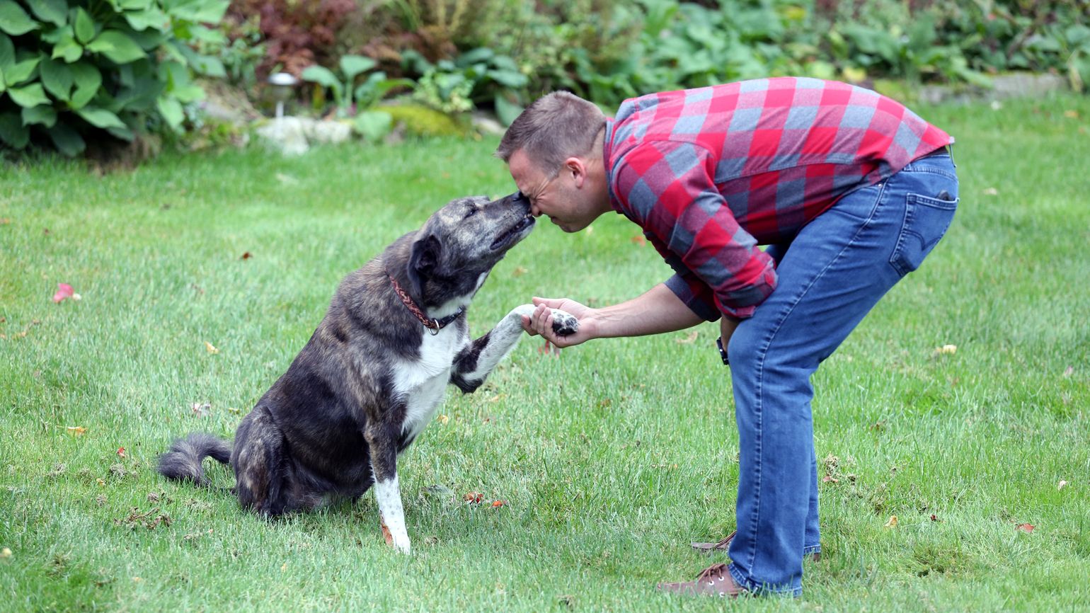 Chris and Bear playing together in their backyard.