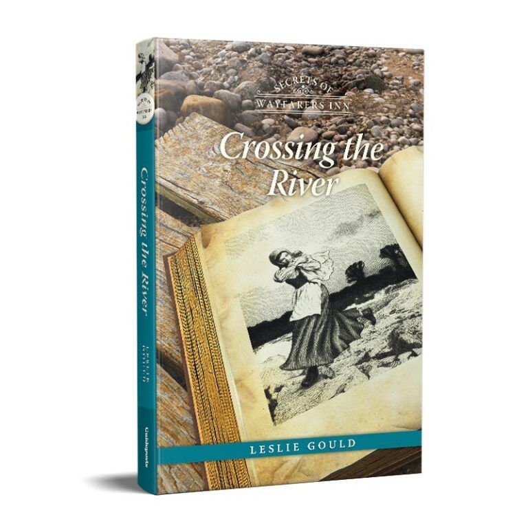Secrets of Wayfarers Inn Book 22: Crossing the River - Hardcover-0