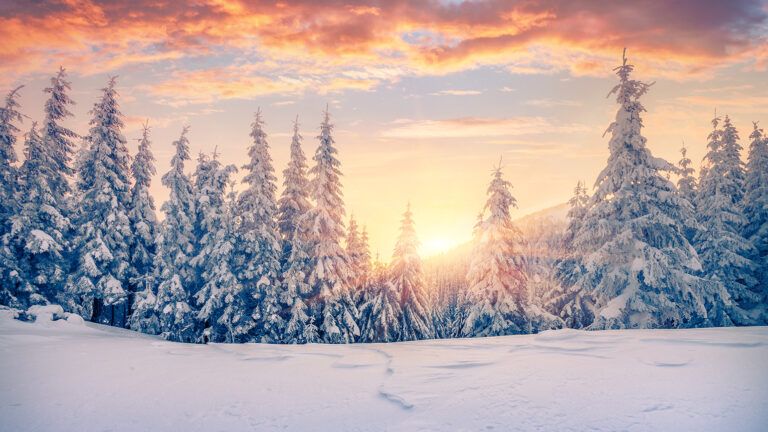 A snow-covered meadow in the mountains