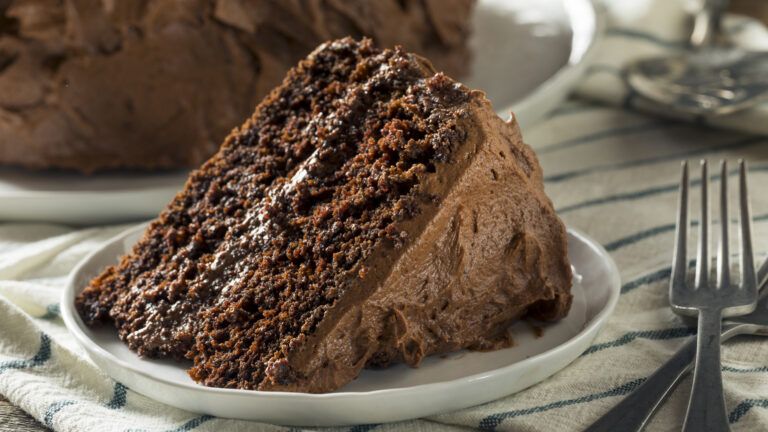 A slice of chocolate cake.