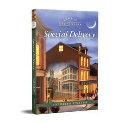 Secrets of Wayfarers Inn Book 24: Special Delivery-0