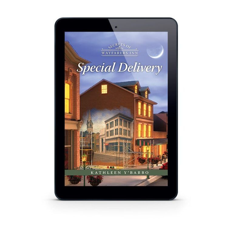 Secrets of Wayfarers Inn Book 24: Special Delivery - eBook-0