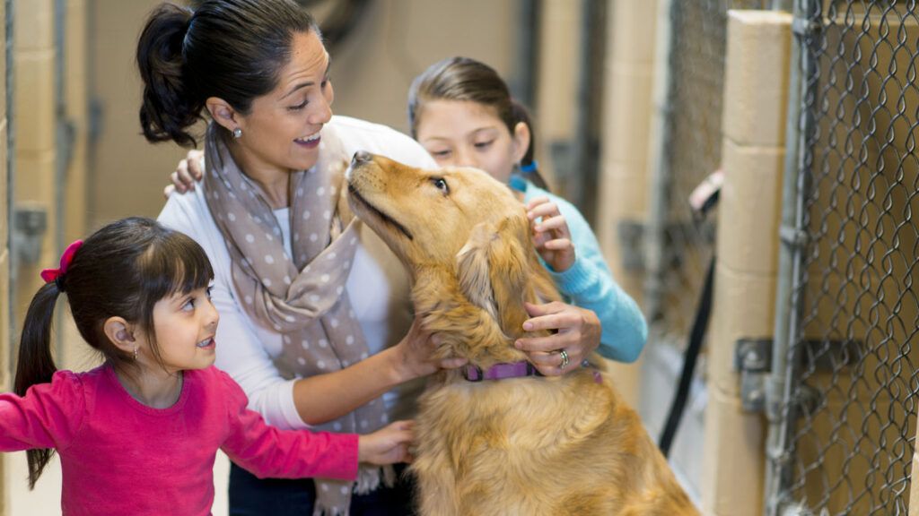 Woman and her young children at a dog shelter