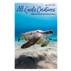 All God's Creatures Magazine-0