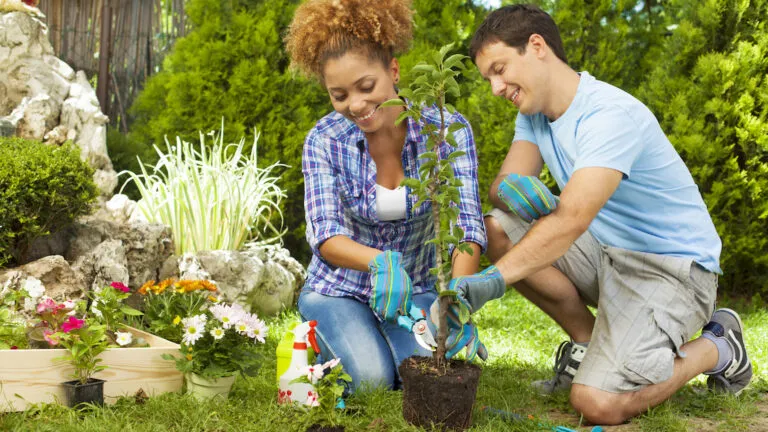 Couple planting a tree