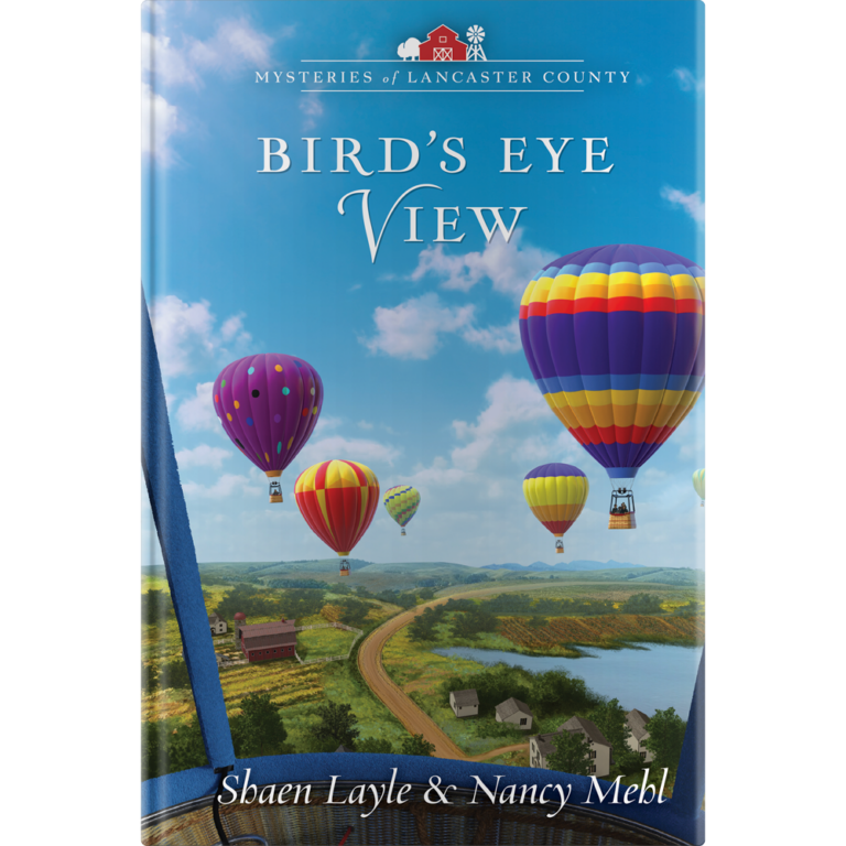 Mysteries of Lancaster County Book 18: Birds Eye View - Hardcover-0