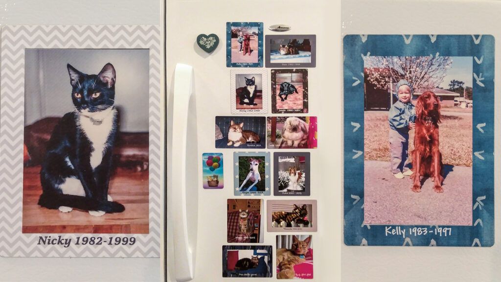 Pet photo magnets. Photo credit: Susan M. Meredith