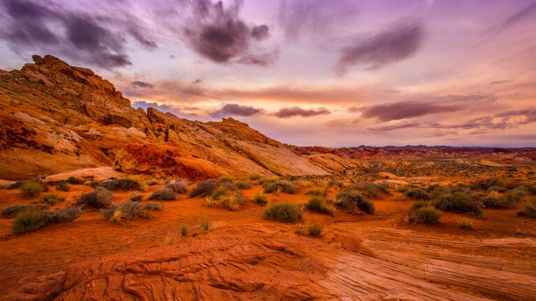 Desert sunrise