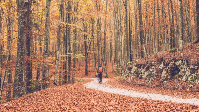 Walking in autumn leaves