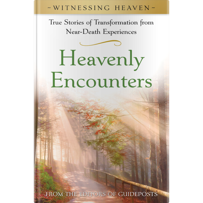 Witnessing Heaven Book 1: Heavenly Encounters - Hardcover-0