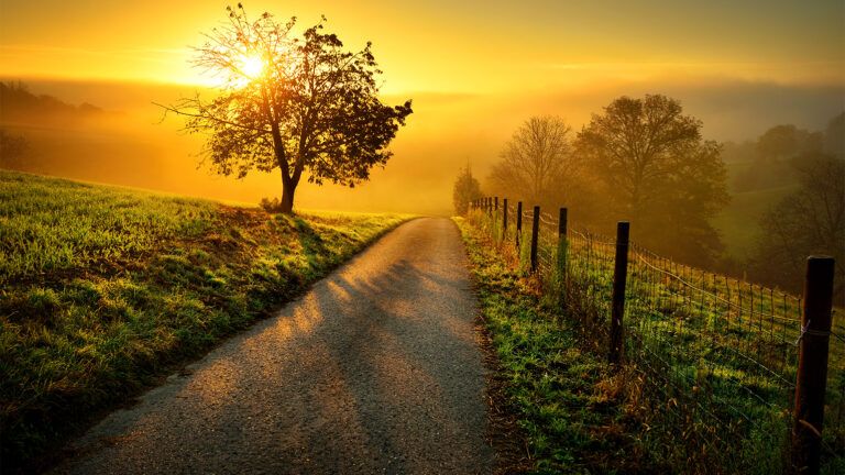 Sunbeams over a country road