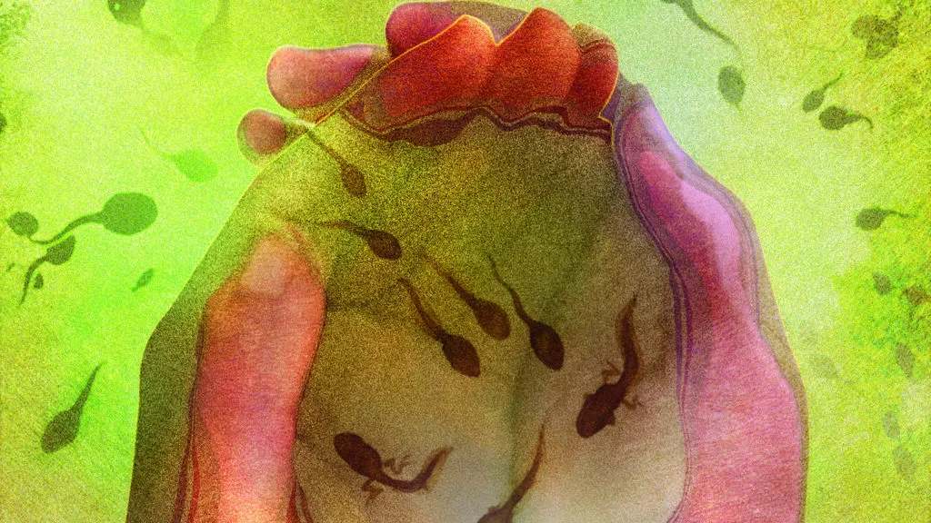 Illustration of tadpoles in a pair of hands