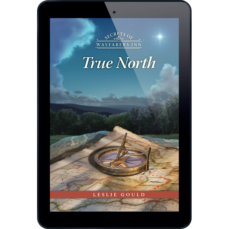 Secrets of Wayfarers Inn Book 27: True North-12004