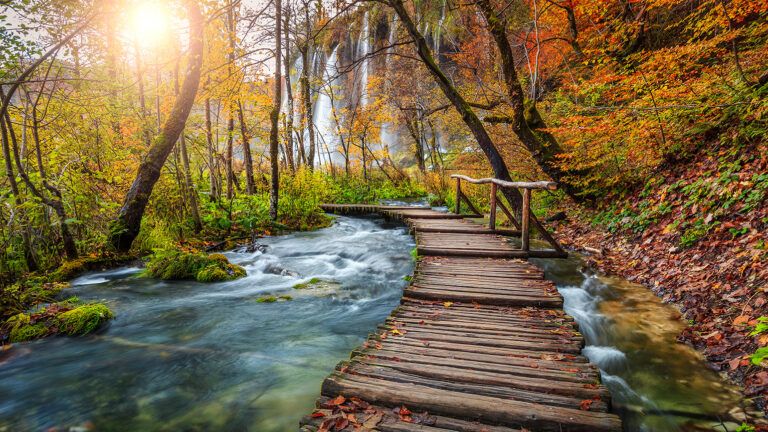 Path over a stream