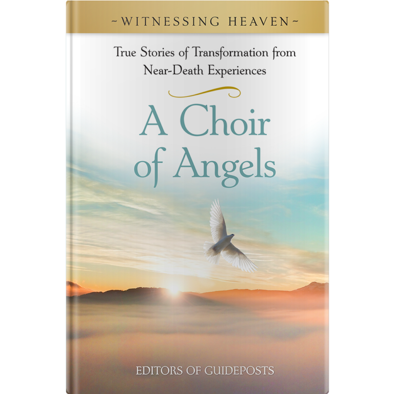 Witnessing Heaven Book 5: A Choir of Angels - Hardcover-0