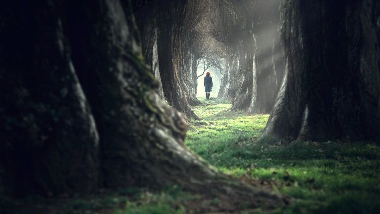 Woman walking in a forest