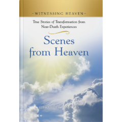 Witnessing Heaven Book 6: Scenes from Heaven-0