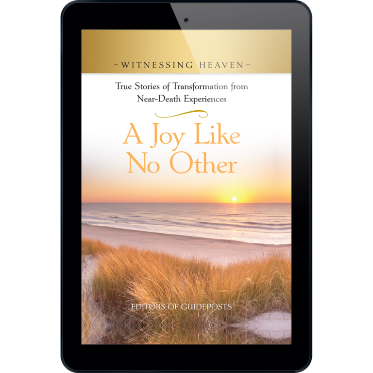 Witnessing Heaven Book 7: A Joy Like No Other - ePUB-0