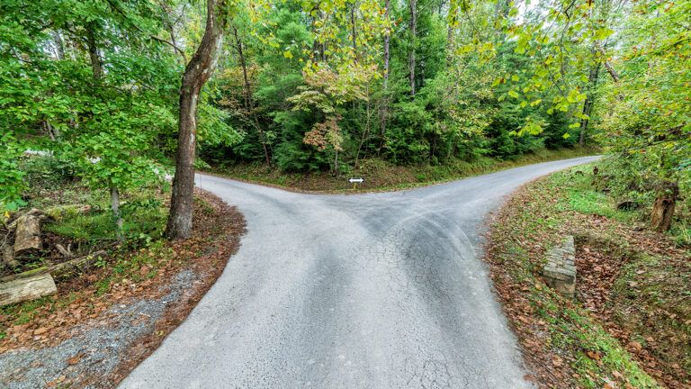 A fork in a rural road