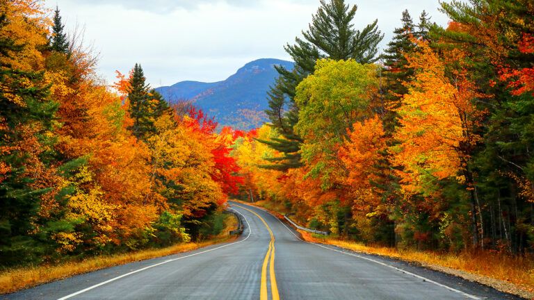 Highway surrounded by fall foliage