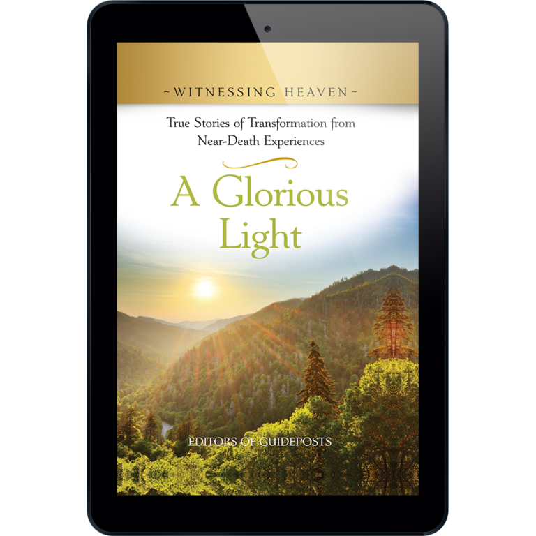 Witnessing Heaven Book 8: A Glorious Light - ePUB-0