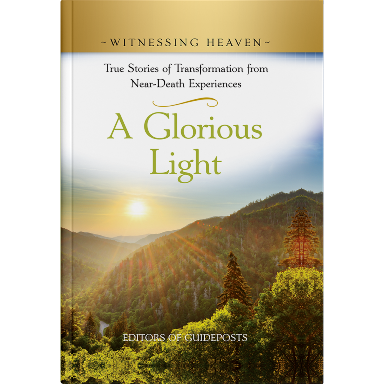 Witnessing Heaven Book 8: A Glorious Light - Hardcover-0