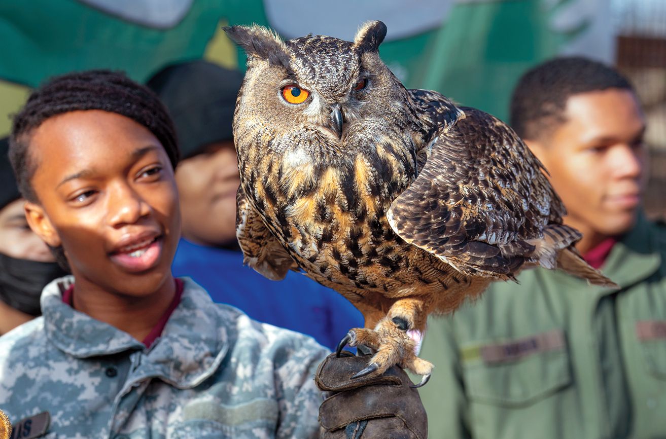 Mr. Hoots, a Eurasian eagle owl; photo by James Kegley