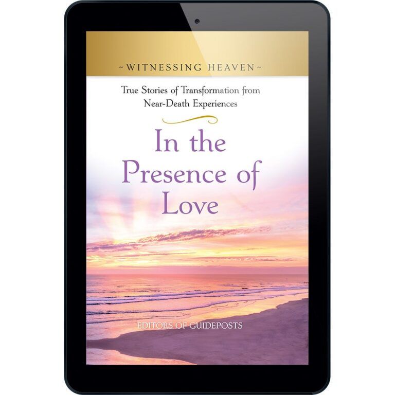 Witnessing Heaven Book 9: In The Presence of Love - ePUB-0