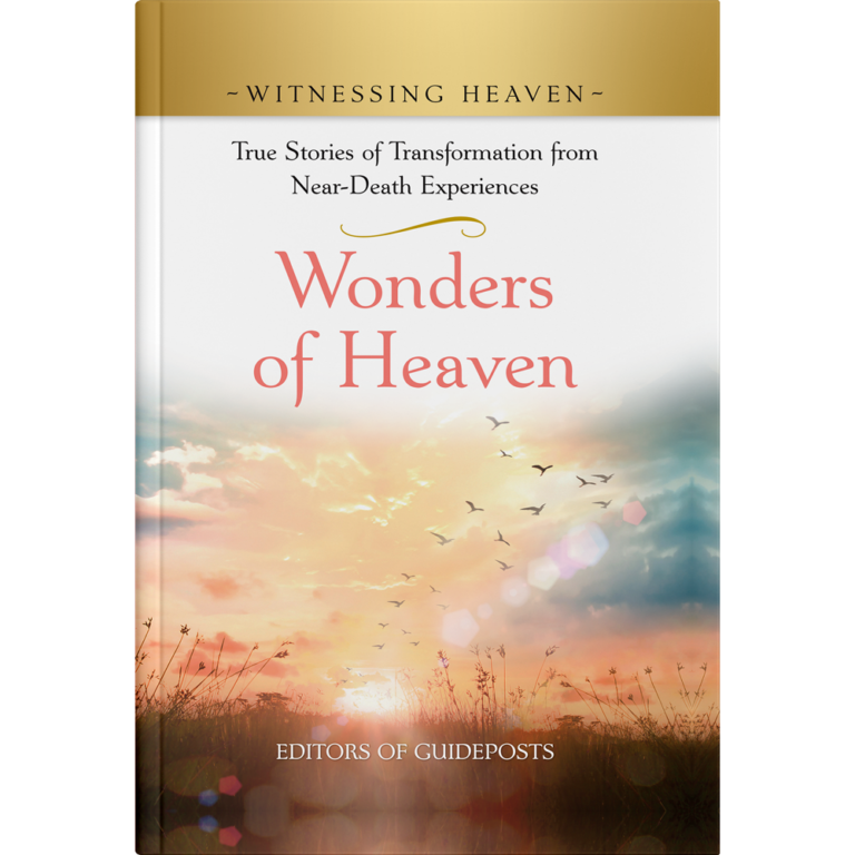 Witnessing Heaven Book 10: Wonders of Heaven - Hardcover-0