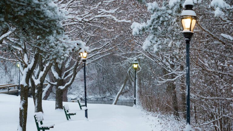 Streetlights lit in the snowy daytime.