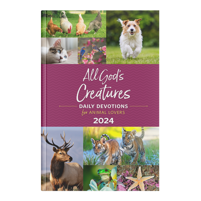 All God's Creatures 2024 - Subscribe & Save-0