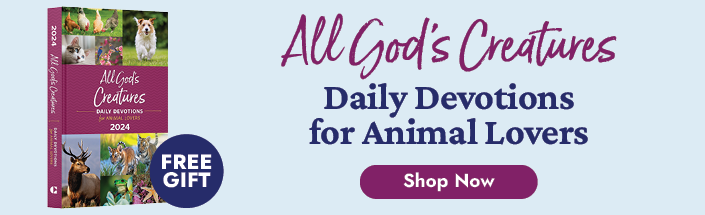 All God's Creatures 2024 category ad