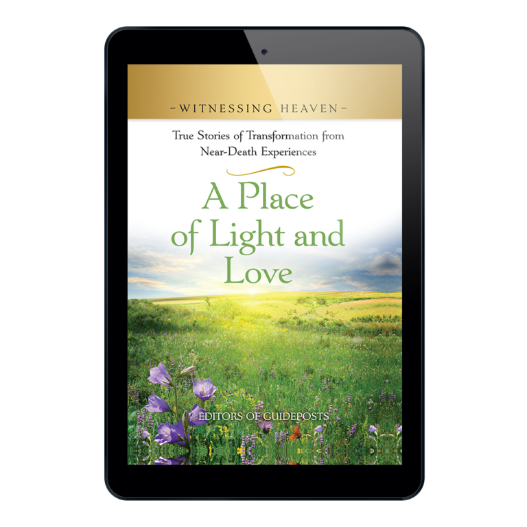 Witnessing Heaven Book 12: A Place of Light and Love - ePDF-0
