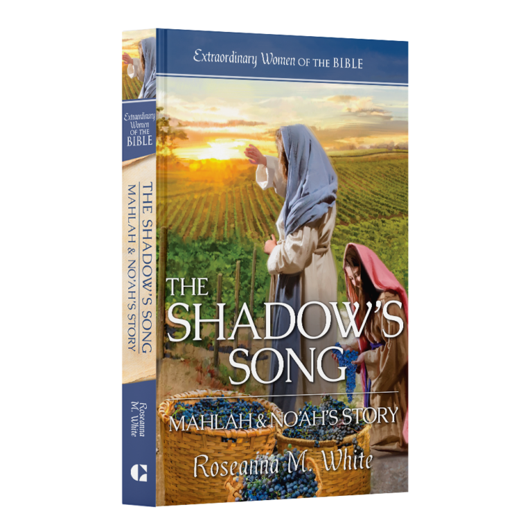 Extraordinary Women of the Bible Book 15 - The Shadow Song: Mahlah & Noah's Story-29492