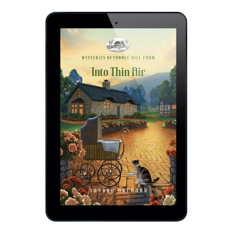 Mysteries of Cobble Hill Farm Book 3: Into Thin Air-30464